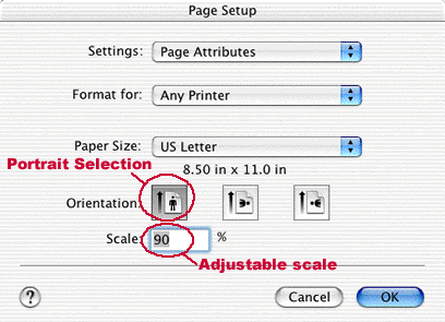 This is an image of the Page Setup window.  The Portrait symbol is circled in red, and so is the scale which now reads 90%.